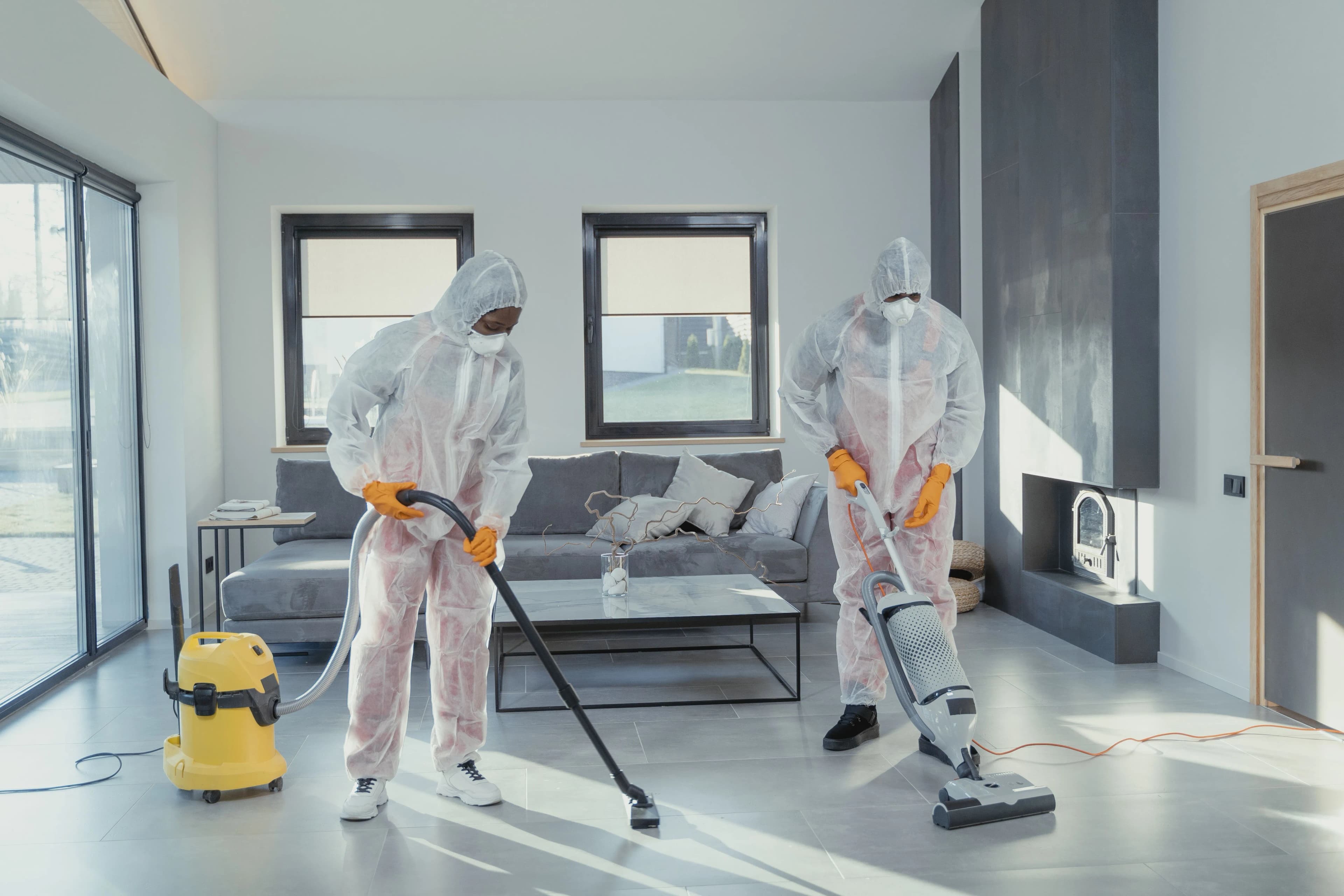 Professional cleaning team at work